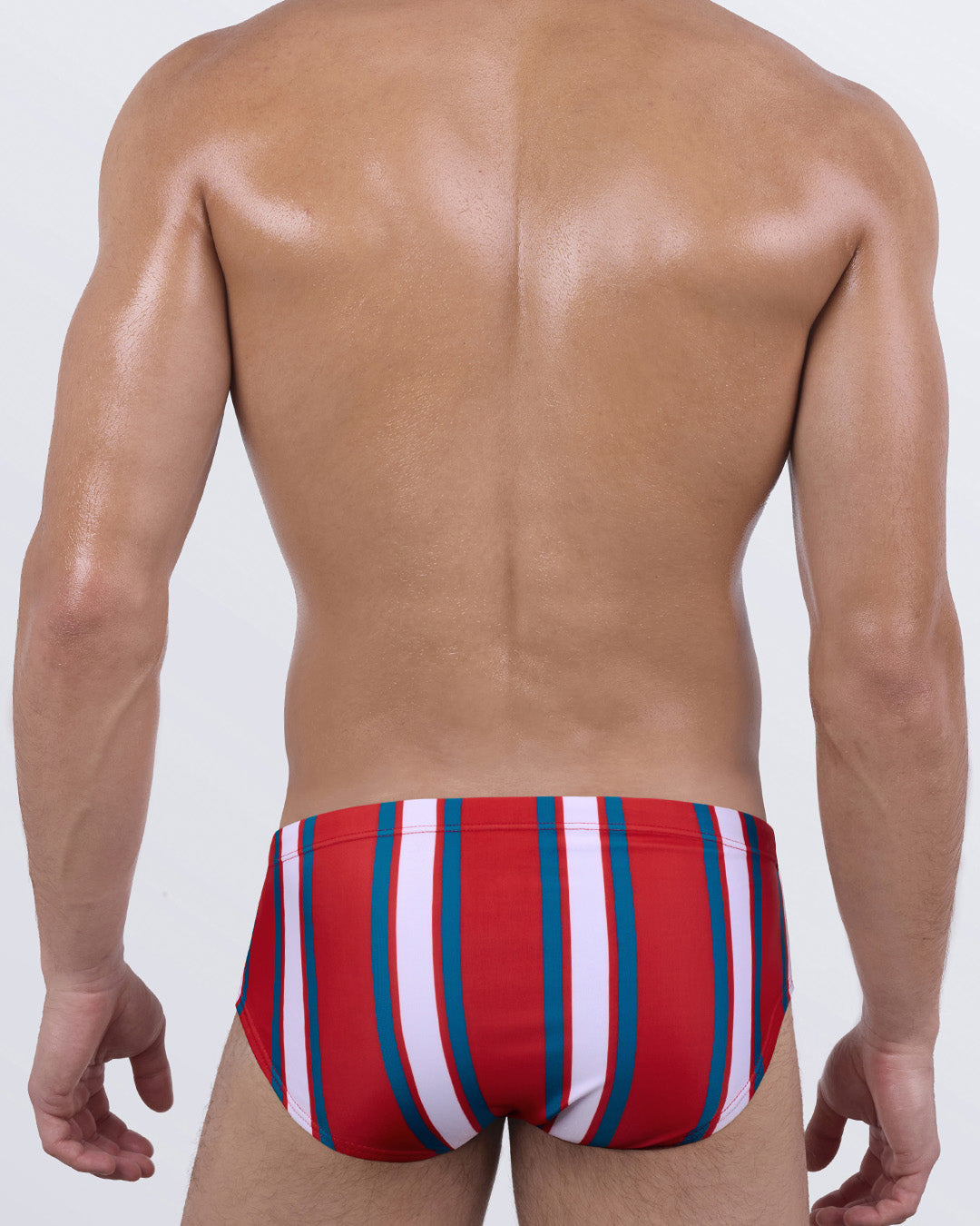 Back view of SWIFT STRIPES men’s swim sunga featuring seamless rear coverage and vertical multicolor stripe print. Sleek and supportive for active beach or pool days.