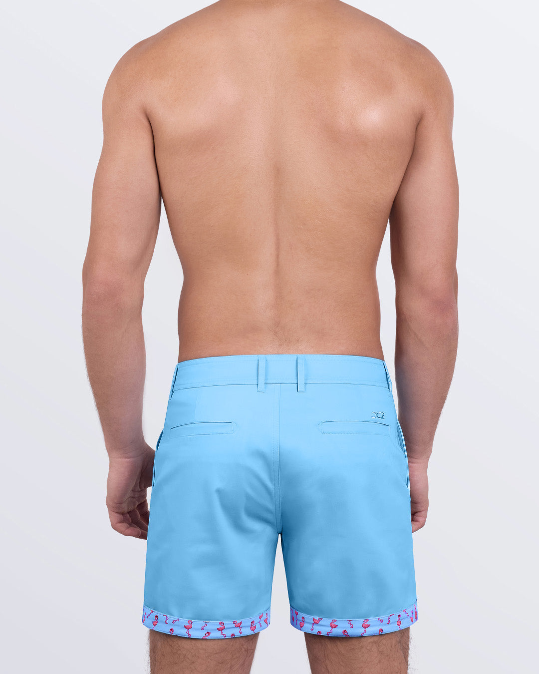 DC2 Flamingos Do It Better Shorts — back view showcasing welt pockets and signature embroidered logo.