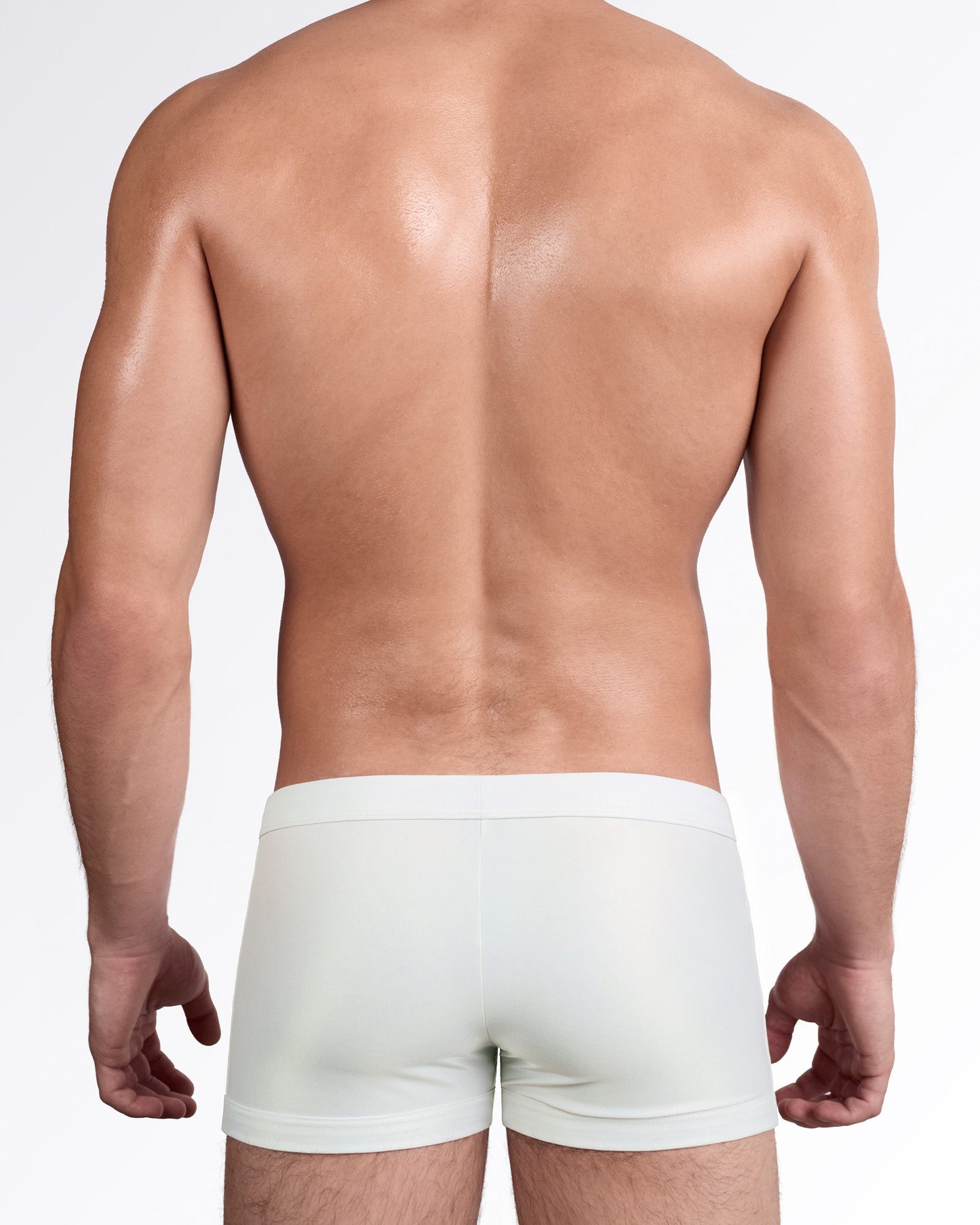 DC2 Mixtape Stripes Swim Trunks — back view showing clean minimalist rear design with smooth stretch swim fabric.