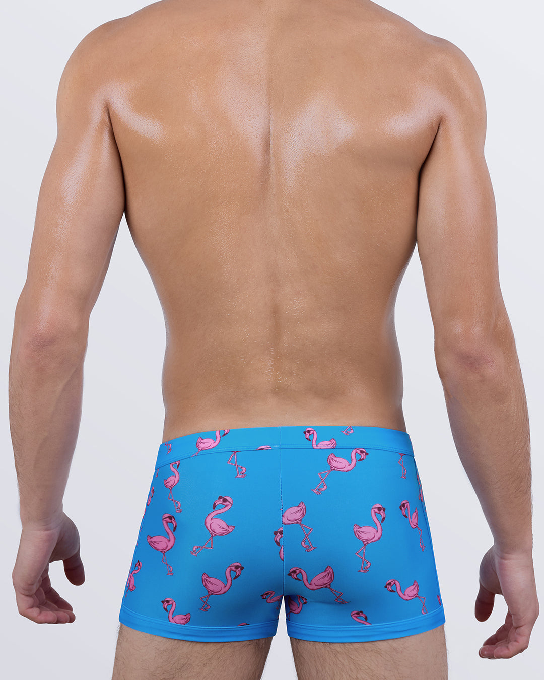 Back view of PINK FLAMINGOS swim trunks for men showcasing the body-contouring fit, low-rise waistband, and vibrant all-over flamingo pattern—ideal for standout swimwear style.
