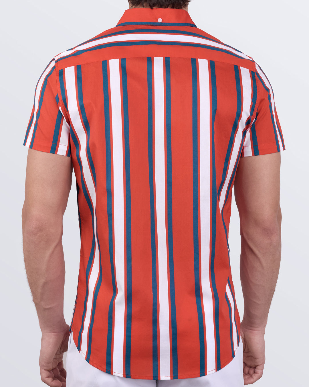 Back view of Swift Stripes cotton shirt showing vibrant striped pattern and modern tailored fit.
