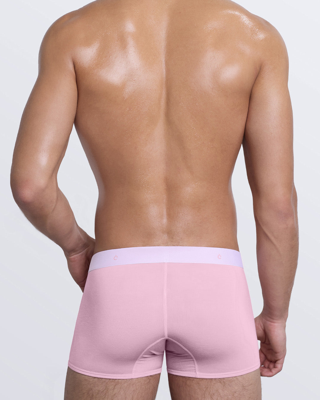 DC2 BRINGING SEXY BACK Boxer Briefs — back view of model highlighting stretch modal fabric and modern fit.