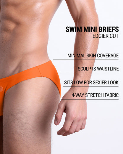 Infographic explaining the edgier cut of the Swim Mini Briefs. Features sculpt waitline, 4-way stretch fabric, sits low for sexier look, and has quick-dry material.