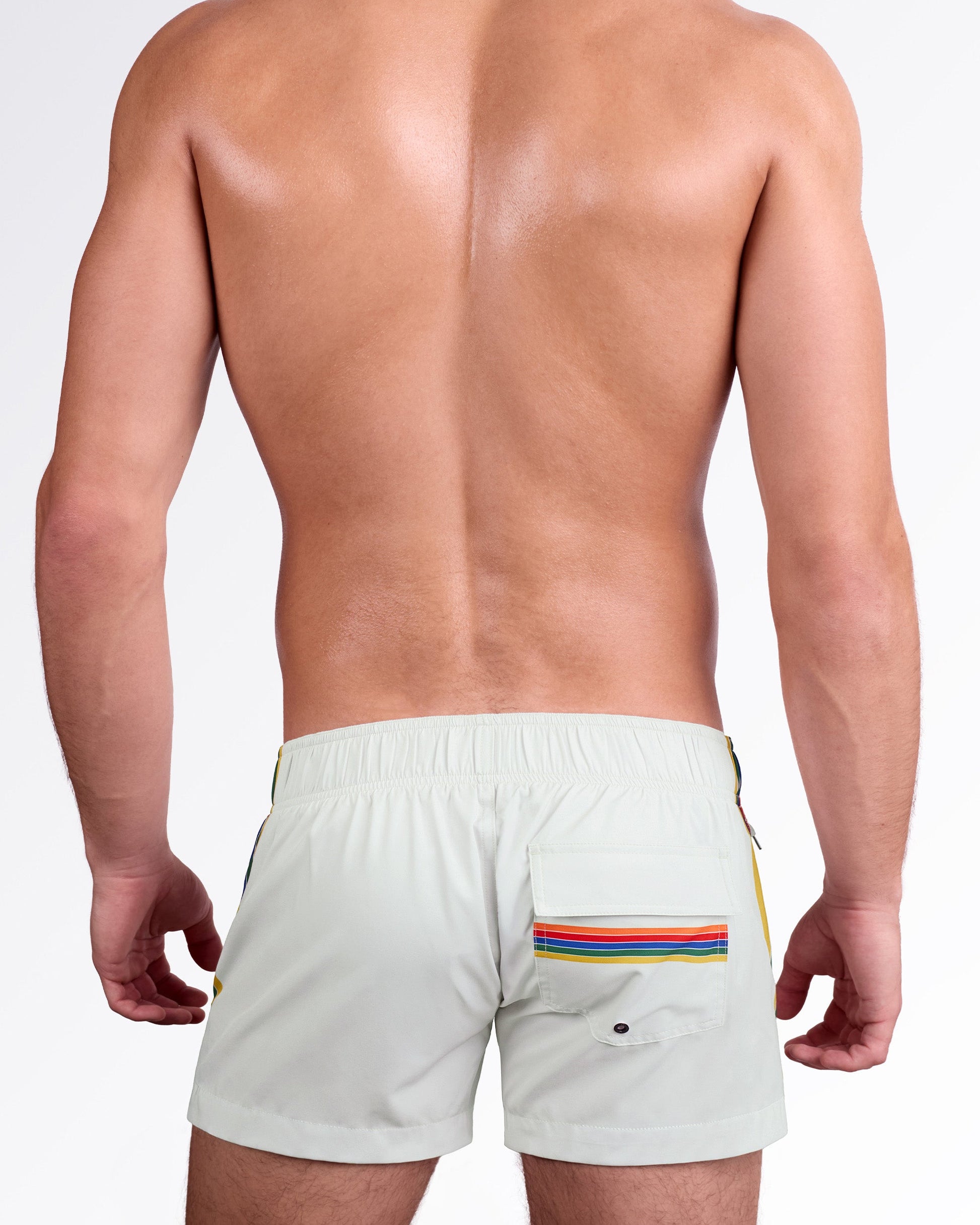 DC2 Miami Mixtape Stripes Flex Shorts — back view showcasing elastic waistband, rear pocket detail with stripe accent, and minimal design.