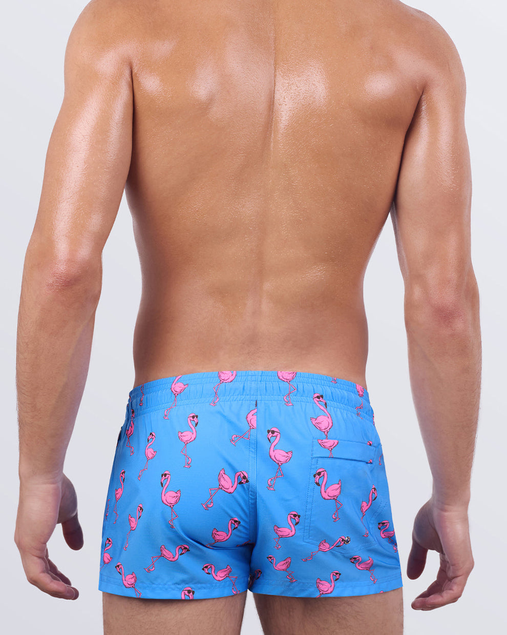 Back view of the Pink Flamingos Poolside Shorts showcasing the vibrant flamingo print, zip back pocket, and comfortable mid-thigh silhouette.