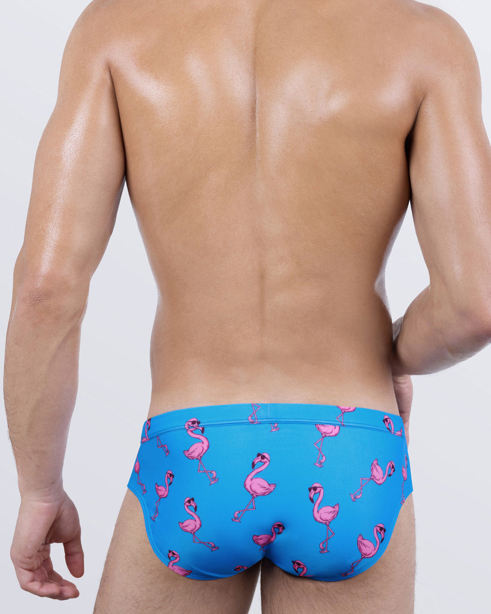 Back view of DC2 Miami PINK FLAMINGOS men’s swim brief showcasing playful flamingo pattern and low-rise swimwear cut.