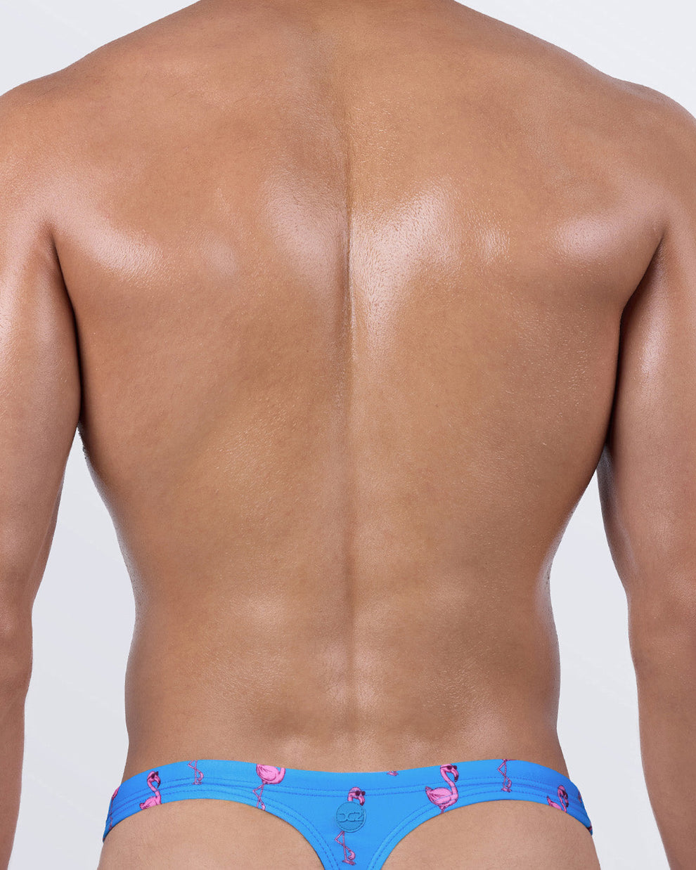 Back view of men’s swim thong in PINK FLAMINGOS with T-back cut for minimal tan lines. Sky blue color with pink flamingos for a playful beach look.