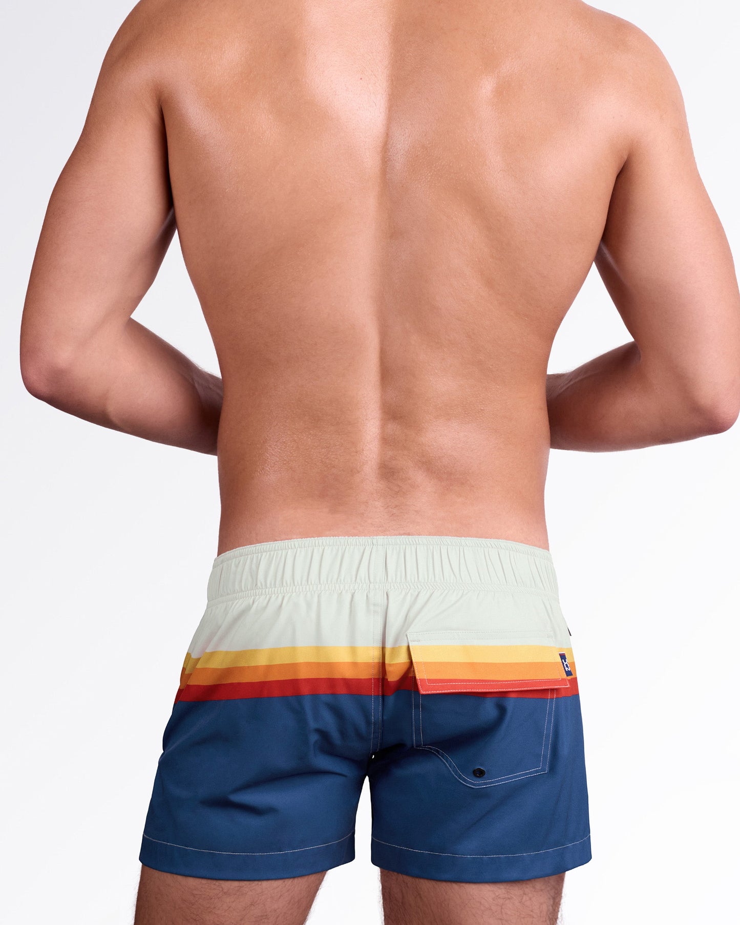 DC2 Miami Sunset Stripes Flex Shorts — back view highlighting elastic waistband, rear flap pocket, and horizontal sunset stripe detail across the waist.