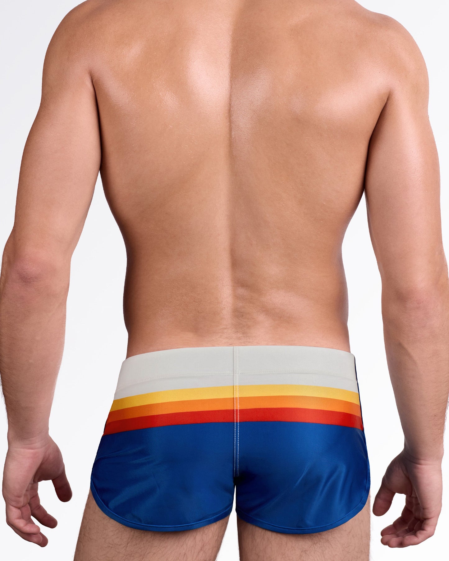 DC2 Sunset Stripes Swim Shorts — back view showing bold horizontal sunset stripe across upper back panel with clean tailored fit.