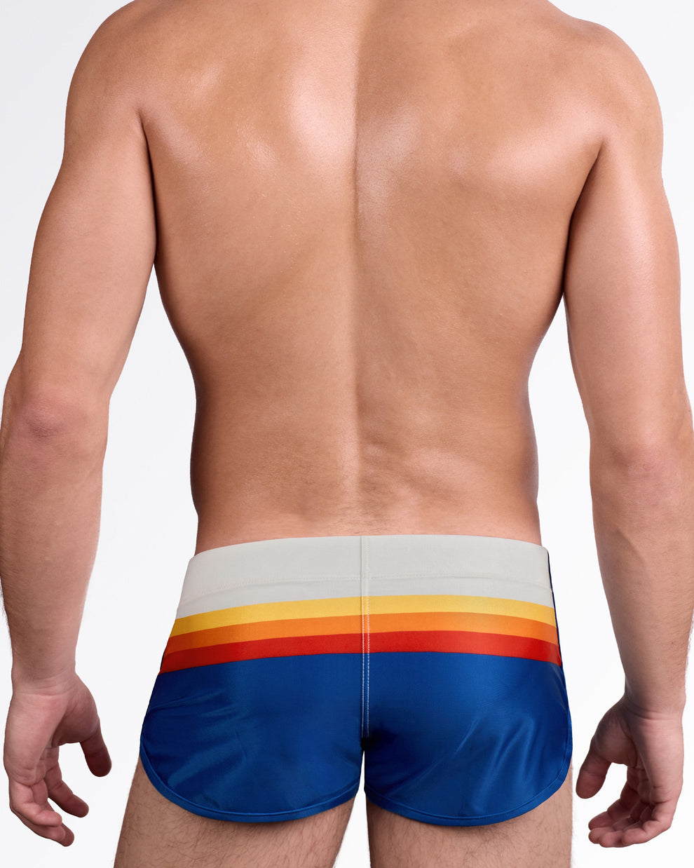 DC2 Sunset Stripes Swim Shorts — back view showing bold horizontal sunset stripe across upper back panel with clean tailored fit.