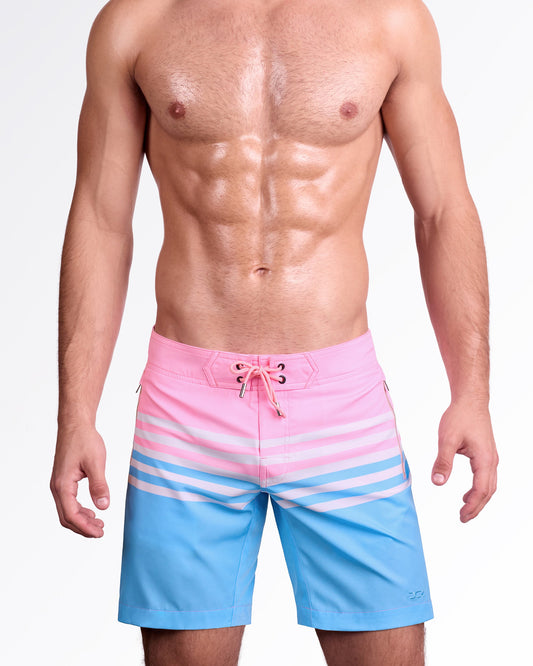 EQUINOXE PASTELS - Flex Boardshorts | DC2